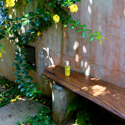 Paso del ritual Zenwa